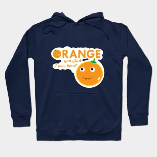 Orange you glad I was born? Hoodie